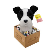 Plüschtier Micky adopt me Hund 18 cm mit Armband und Buch im Geschenkkarton