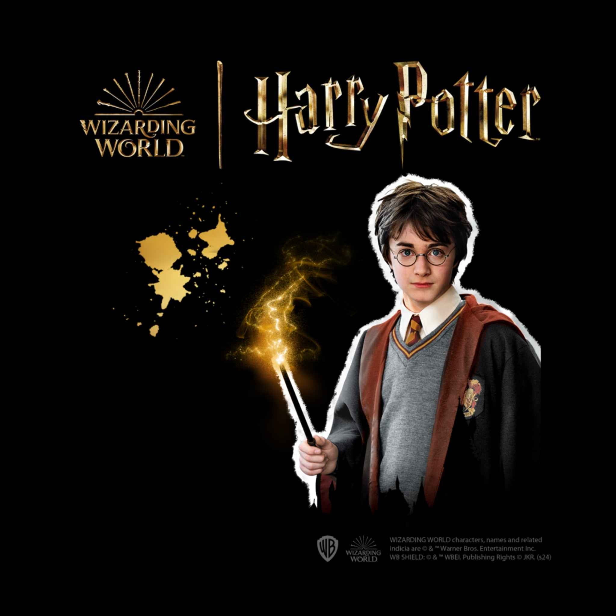 Diamond Painting Harry Potter 5 Karten selbstklebend mehrfarbig | SES Creative