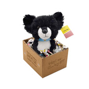 Plüschtier Gino Hund schwarz 18 cm mit Armband und Vorlesebuch im Geschenkkarton