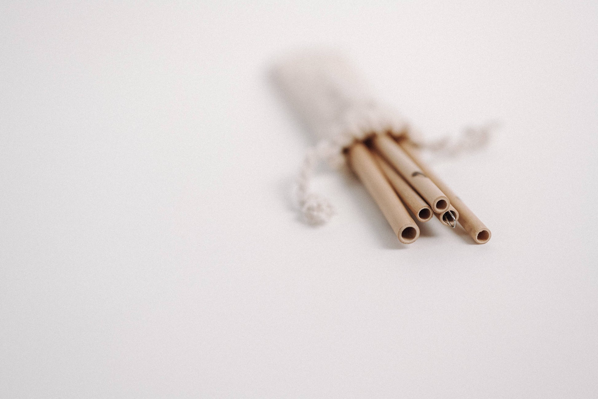 JustStraws Bambus Strohhalme in natürlicher Farbe, 5 Stück im Set