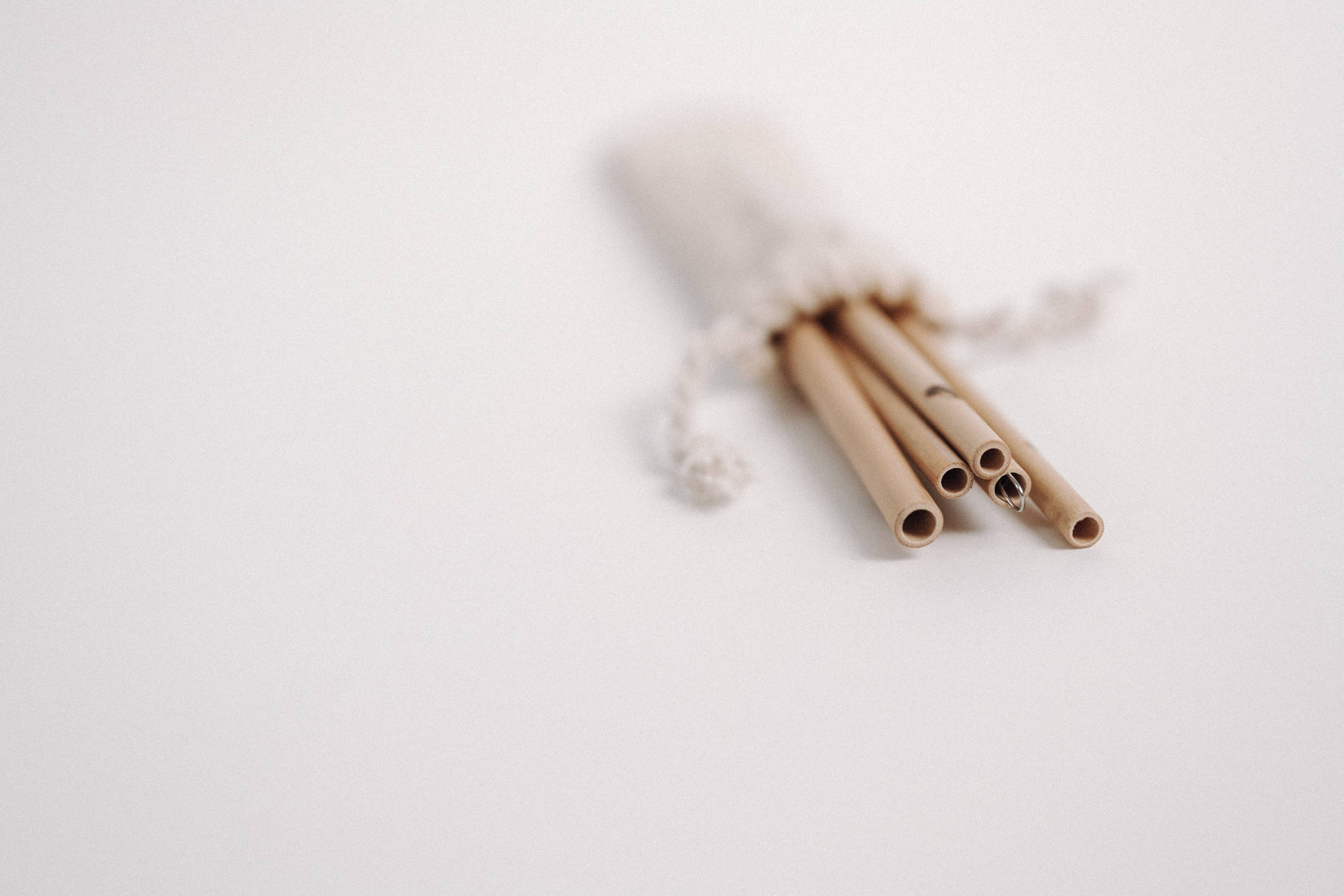 JustStraws Bambus Strohhalme in natürlicher Farbe, 5 Stück im Set