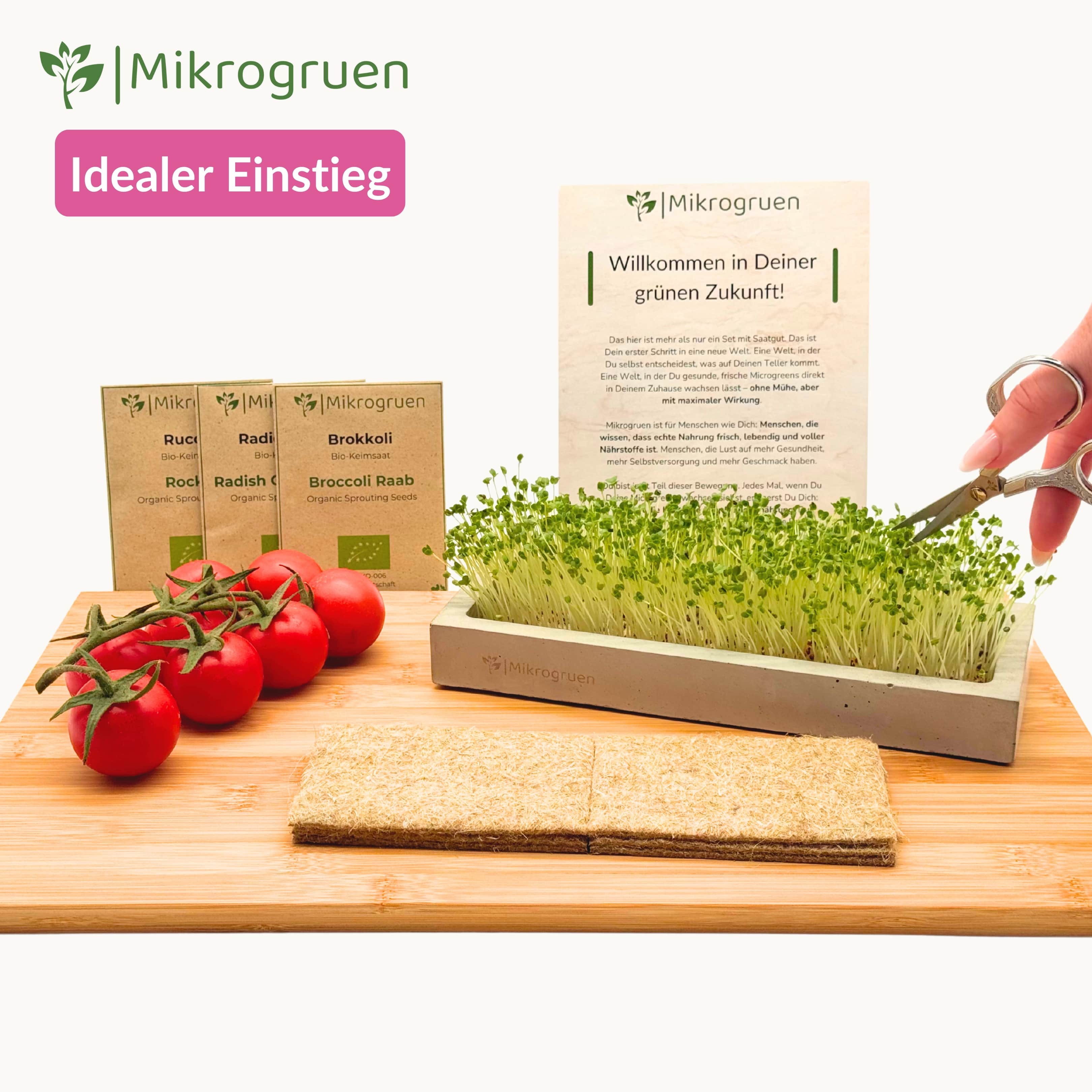 Microgreens Mini-Set, frische Keimlinge in verschiedenen Sorten, platzsparend und handlich