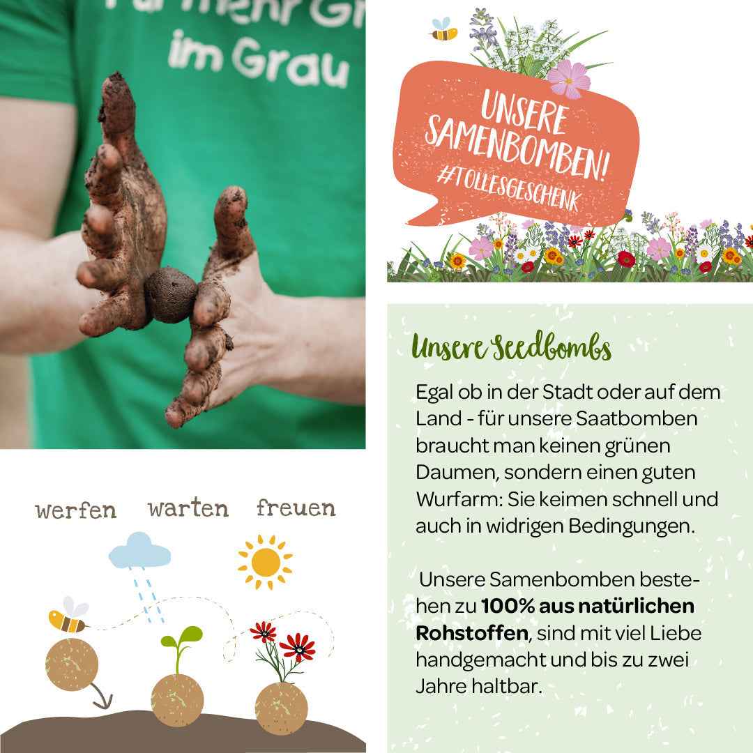 Lose Wildblumen-Samenbomben, unverpackt