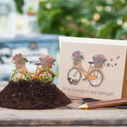 Geburtstagskarte Fahrrad mit Saatstecker 10,5×14,8 cm Natronkraftkarton