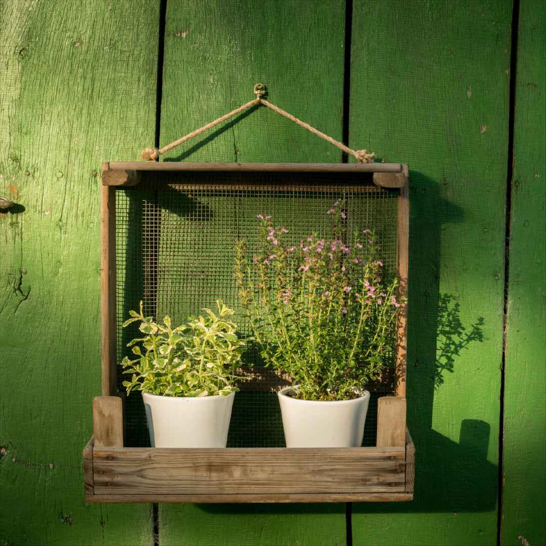 Schmales Gartenregal aus Zwiebelsieb