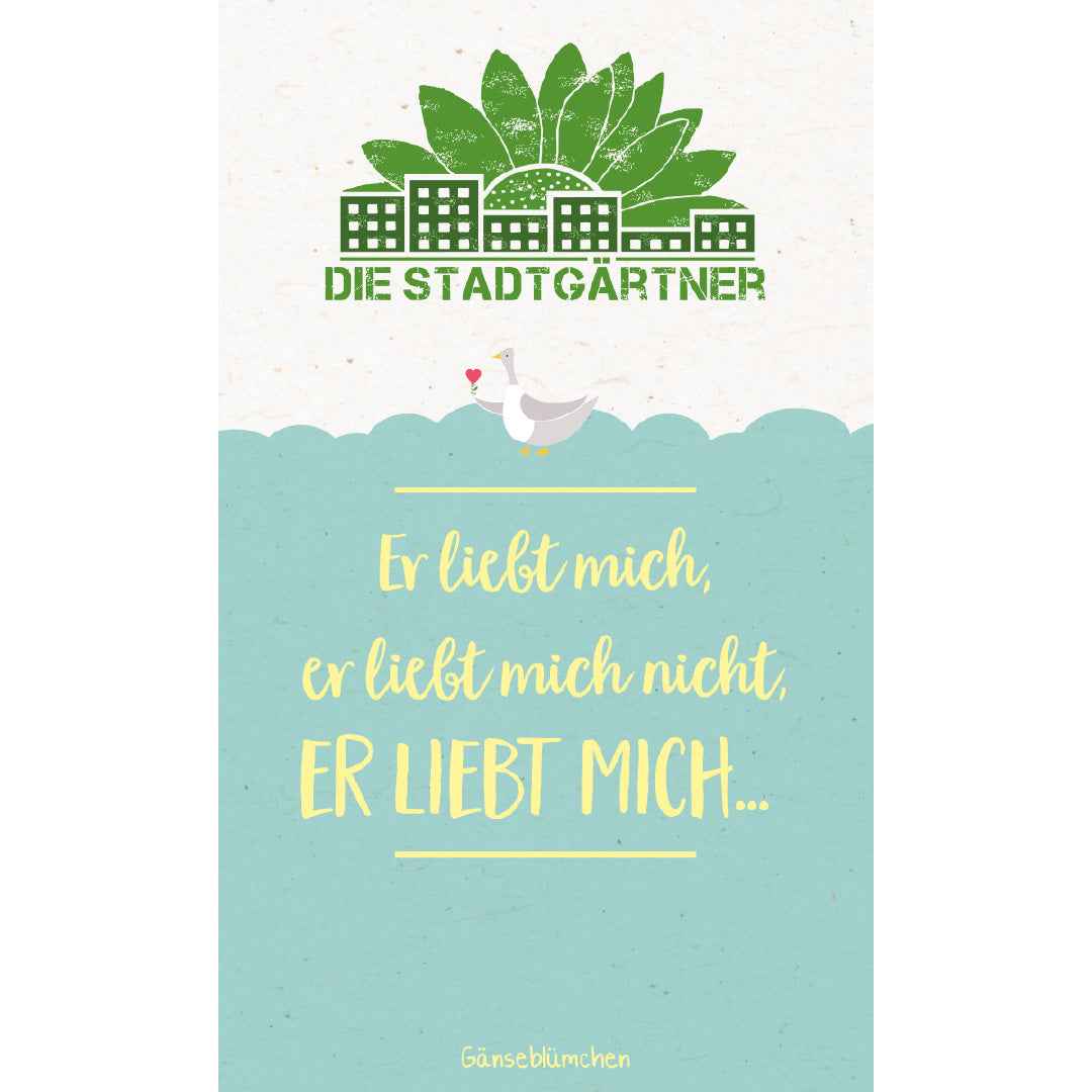 Saatgruß "Er liebt mich"