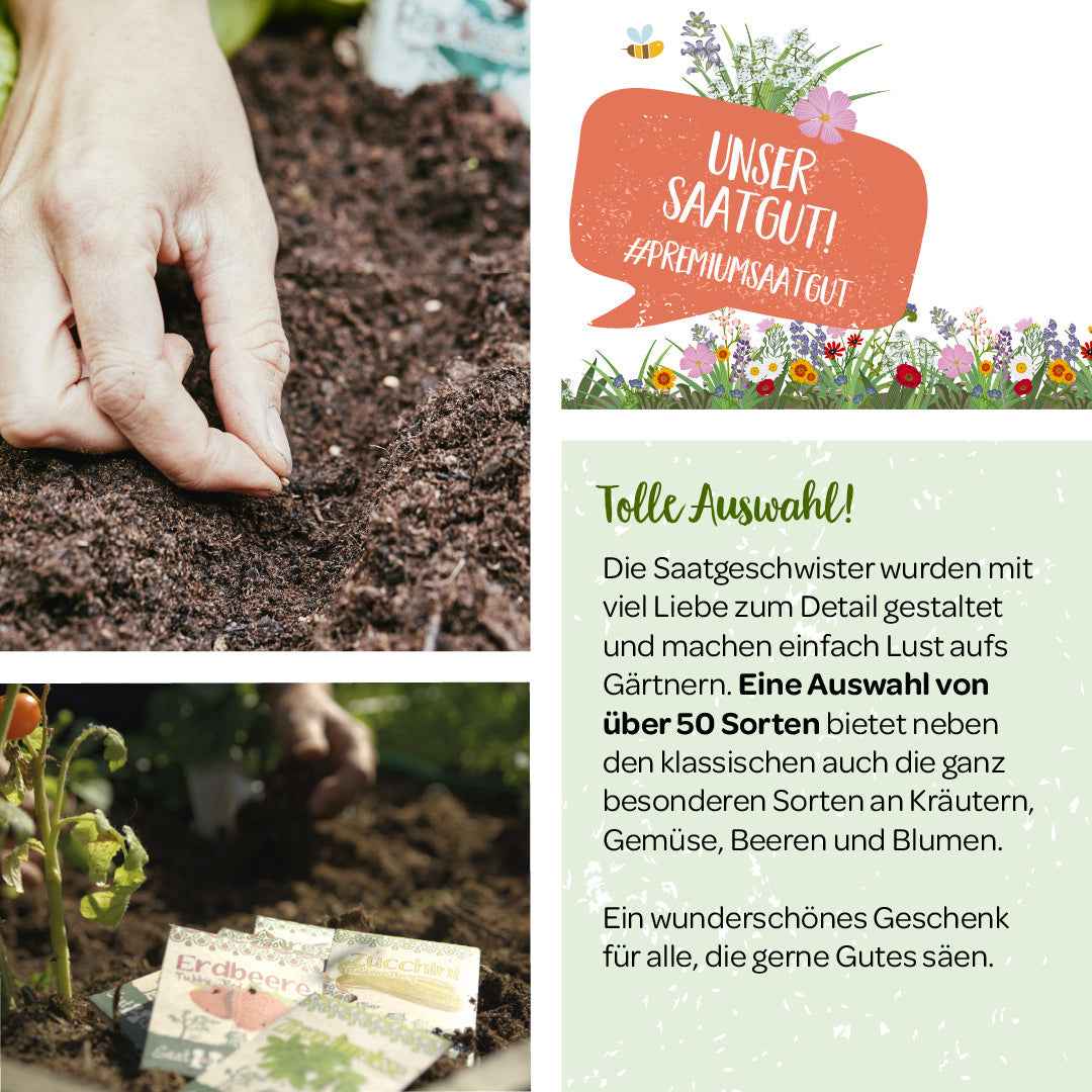 100 g Wildblumen-Saatgut