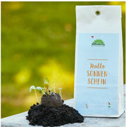 Sonnenschein 5 Samenbomben für blühende Gärten, bunte Blumenmischung