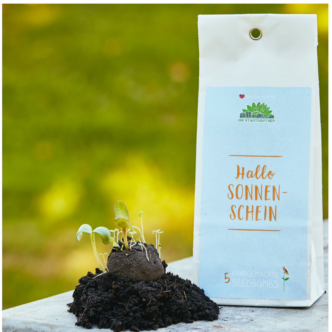 Sonnenschein 5 Samenbomben für blühende Gärten, bunte Blumenmischung