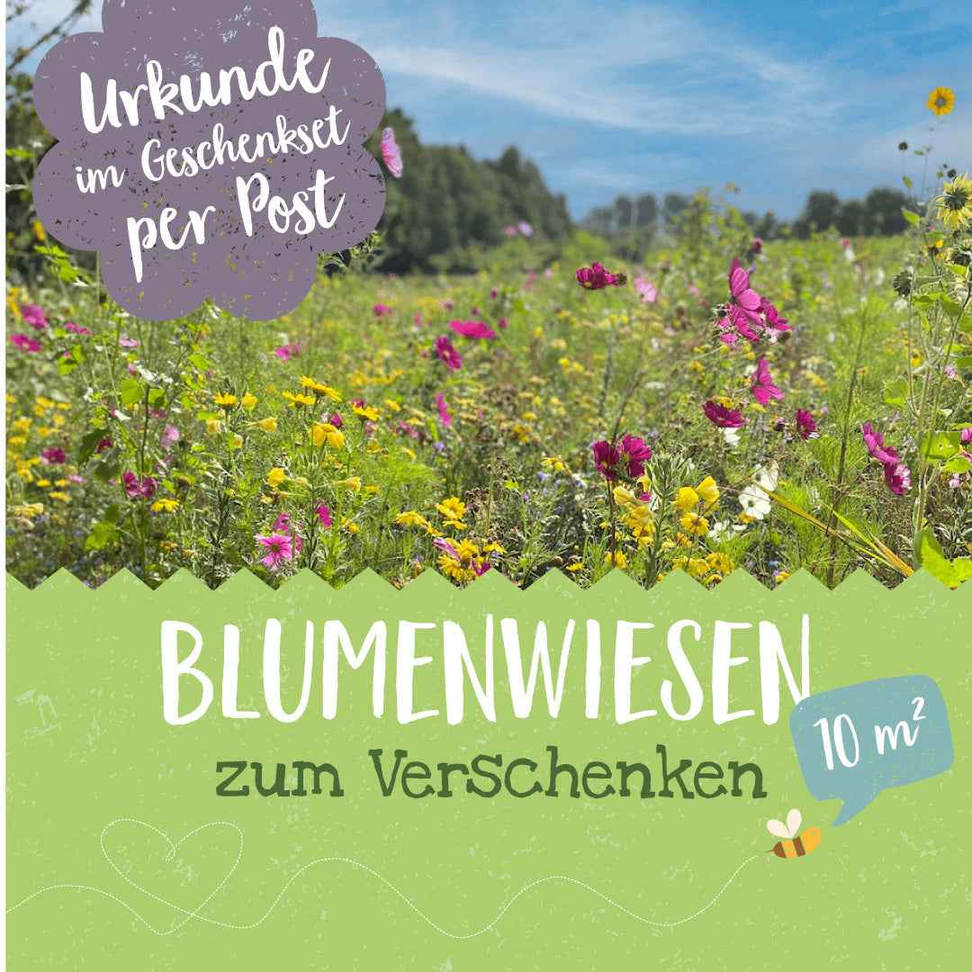 Blühpatenschafts-Geschenkset