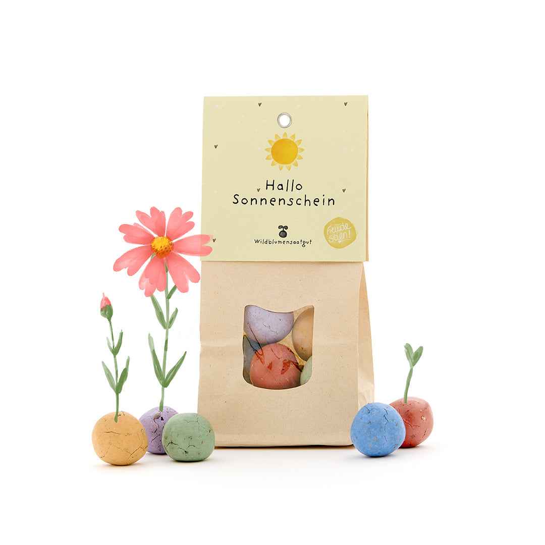Hallo Sonnenschein - Bunte Blumenmurmeln