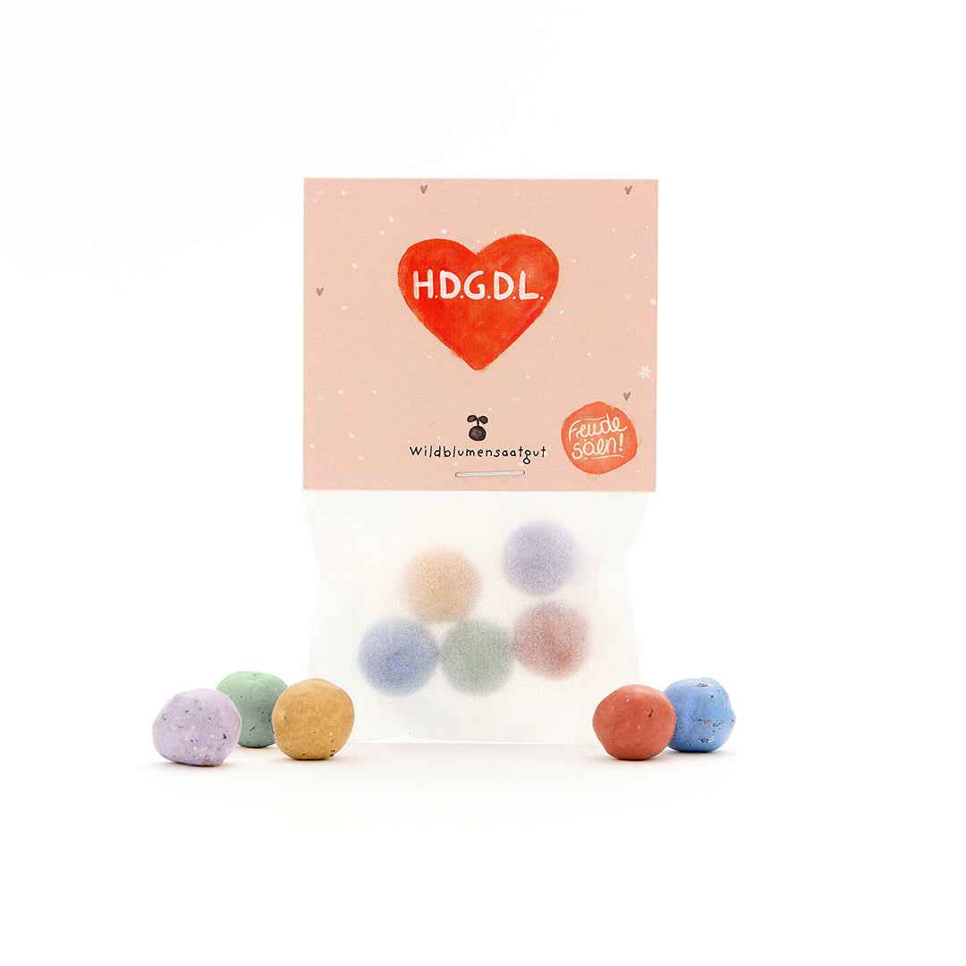 5 Blumenmurmeln im Tütchen "HDGDL" - Hab dich ganz doll lieb