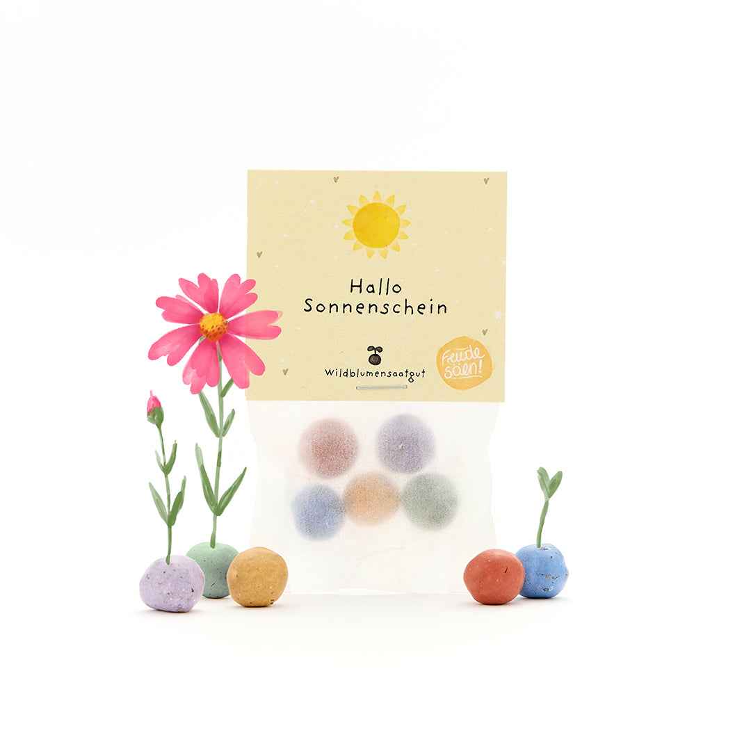 5 Blumenmurmeln im Tütchen "Hallo Sonnenschein"