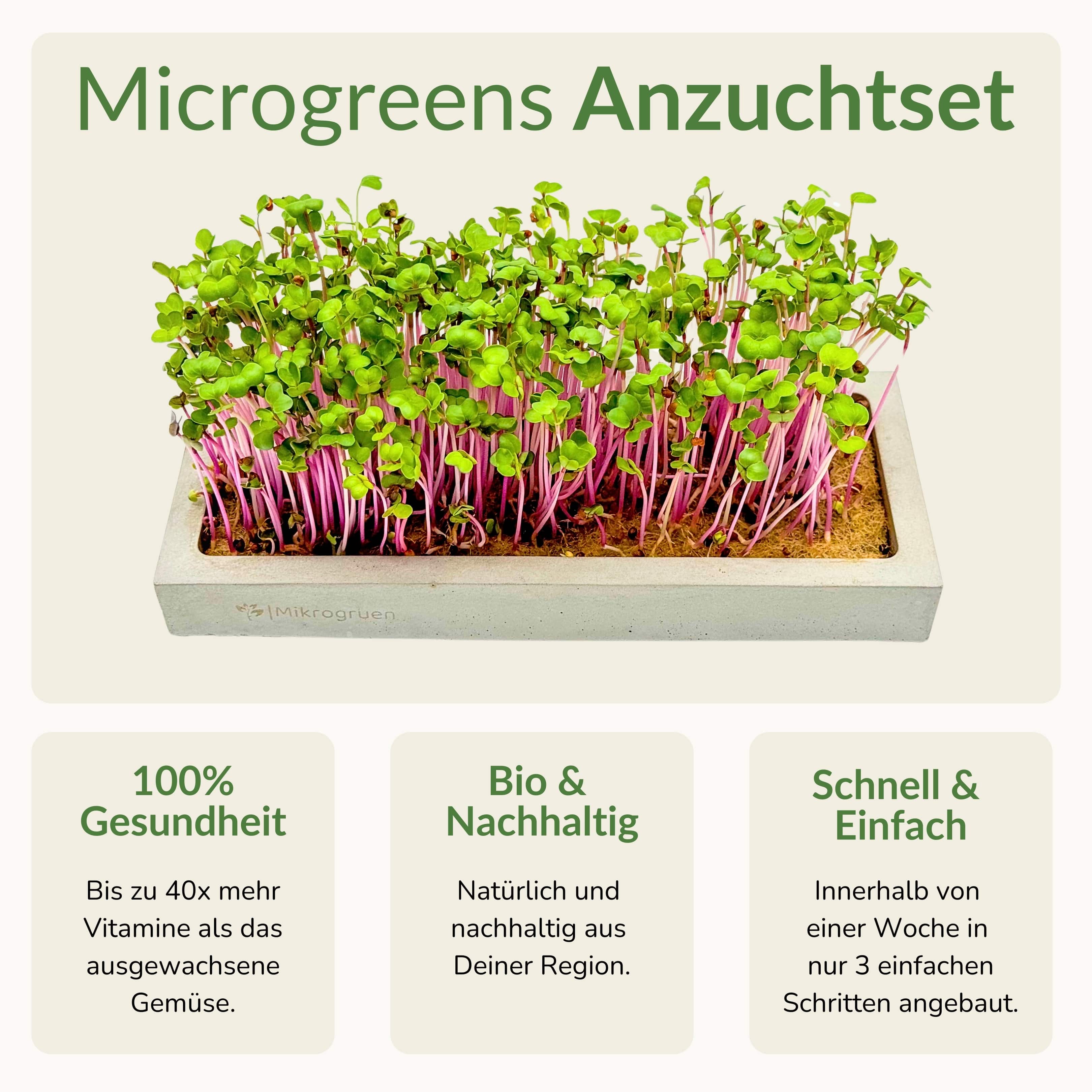 Microgreens Mini-Set mit Anzuchtschalen, ideal für den Balkon und die Küche