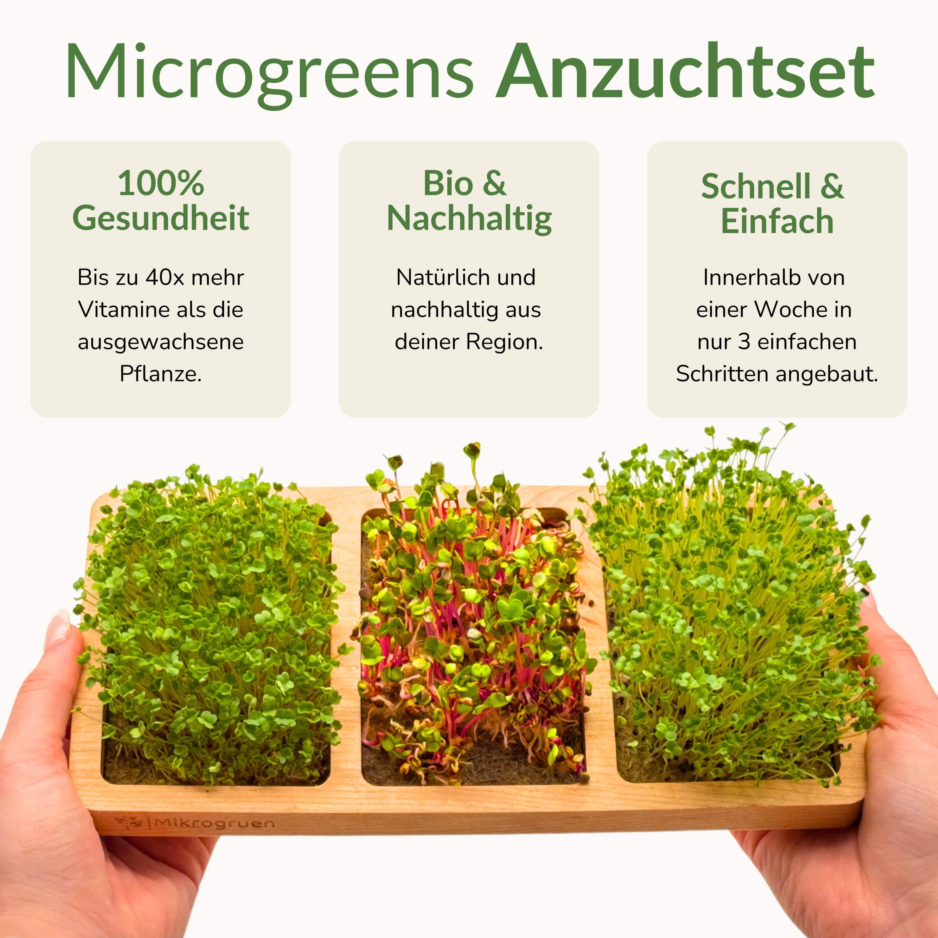 Echtholz Microgreens Anzuchtset mit Saatgut und Anleitungen, handgefertigt