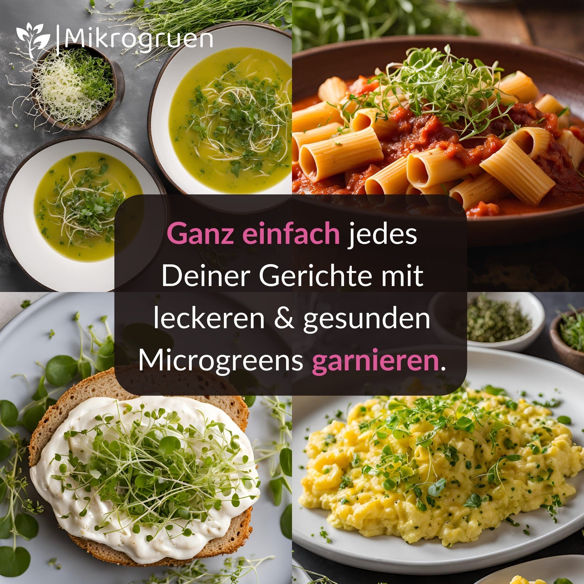 Microgreens Nachfüllset, ideale Ergänzung für den Garten oder die Küche