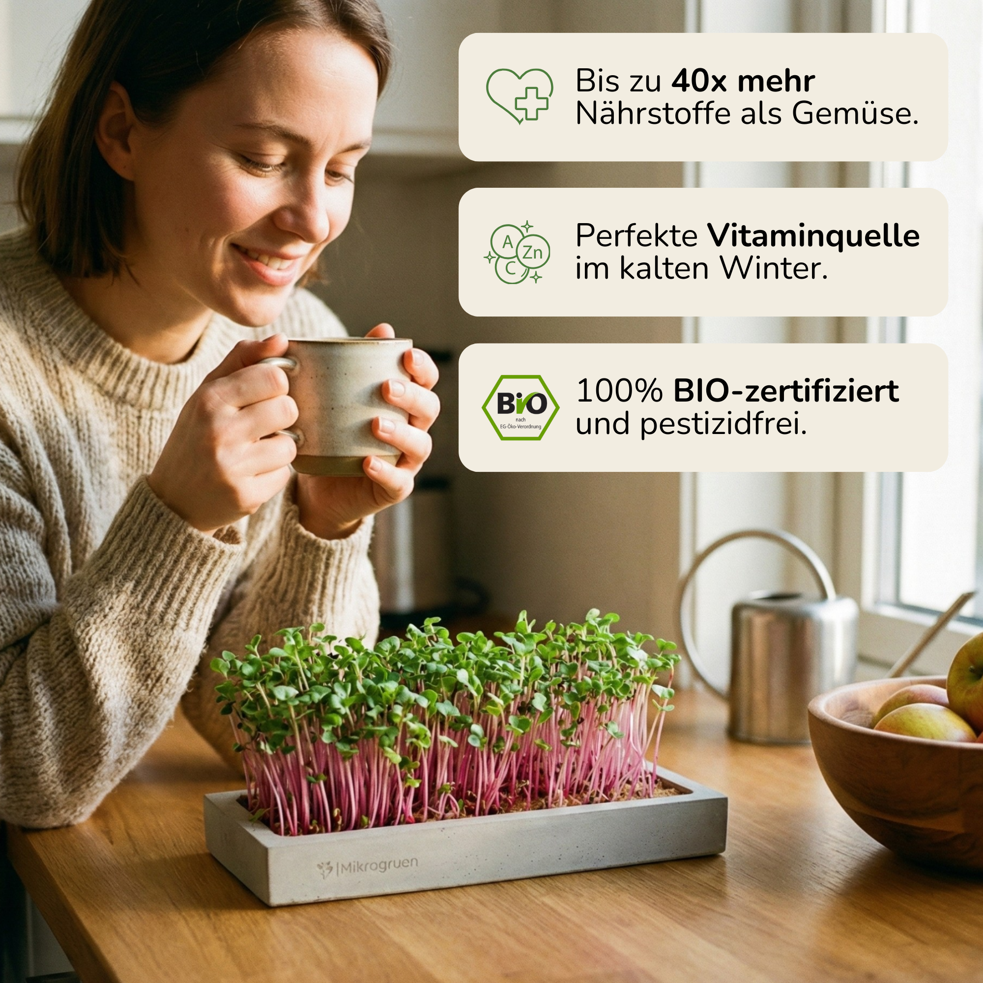 Microgreens Starter-Set mit verschiedenen Samen für einfache Anzucht