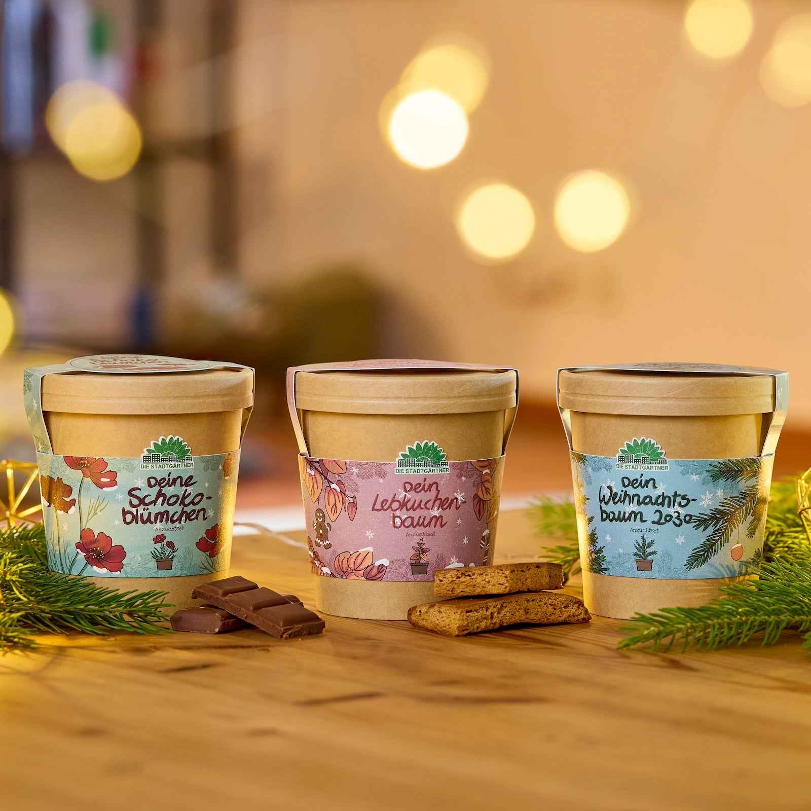 Festliches Anzucht-Set – 3 weihnachtliche Sorten