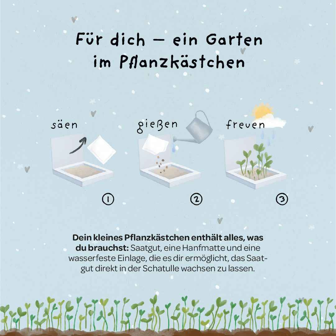 Pflanzkästchen - Herzrasen