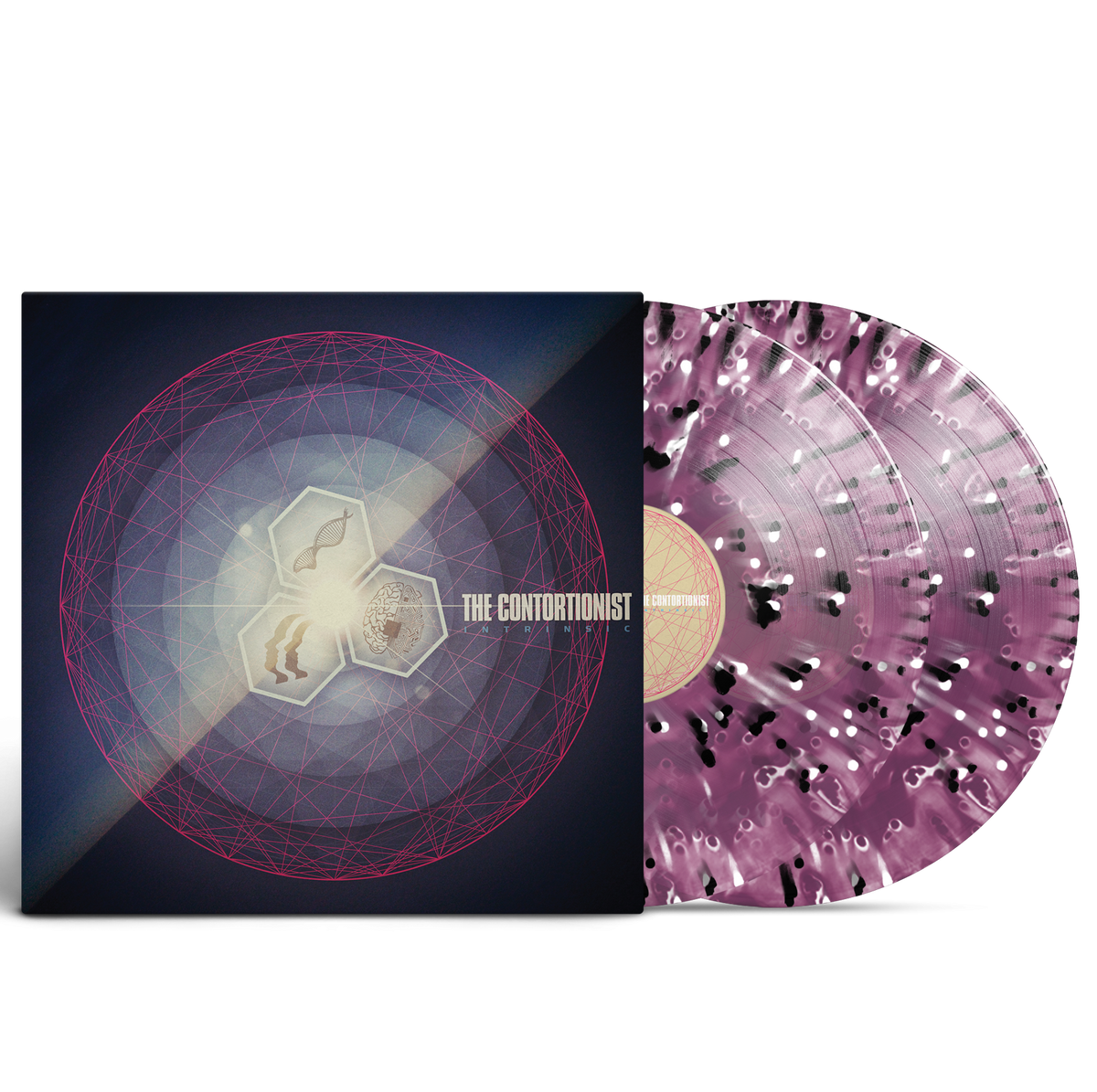The Contortionist - Intrinsic Grape Ghost Splatter Vinyl