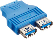 System-S 20Pin Motherboard Header auf 2X USB A 3.0 Female Adapter