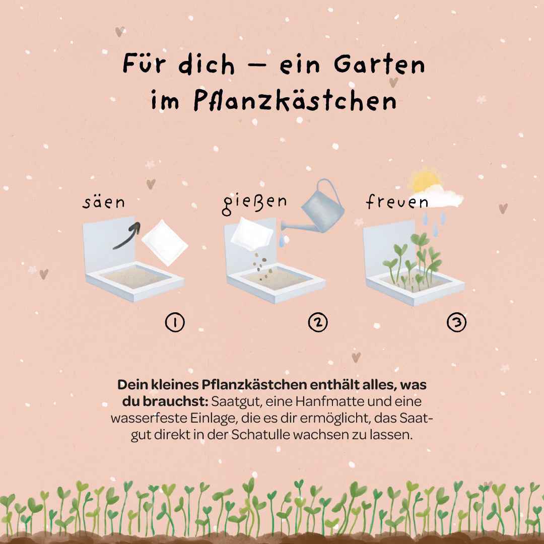 Pflanzkästchen - HDGDL - Hab dich ganz doll lieb