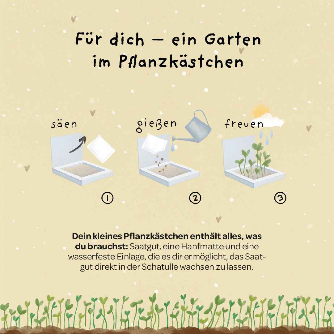 Pflanzkästchen - Unentbeerlich