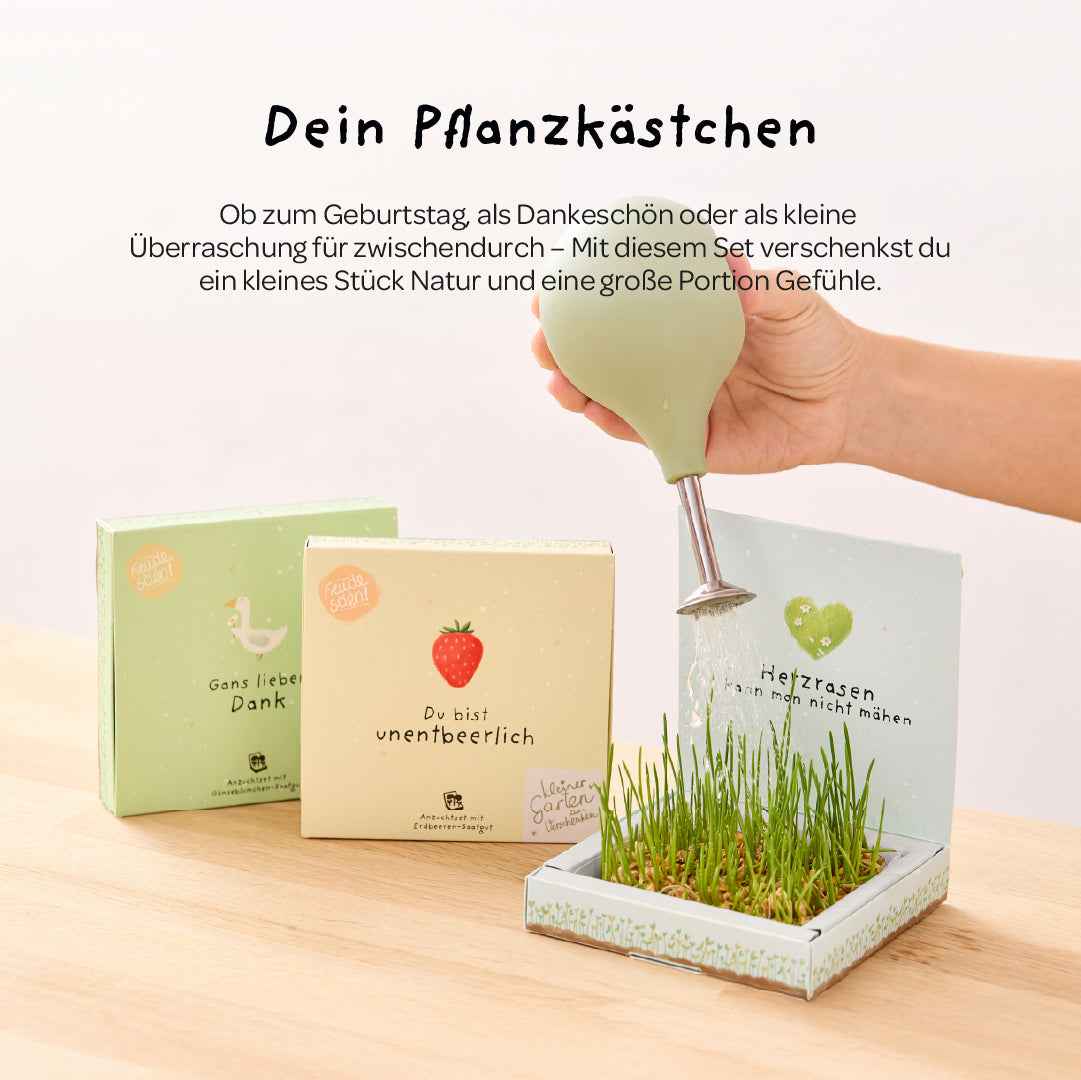 Pflanzkästchen - Gans lieben Dank