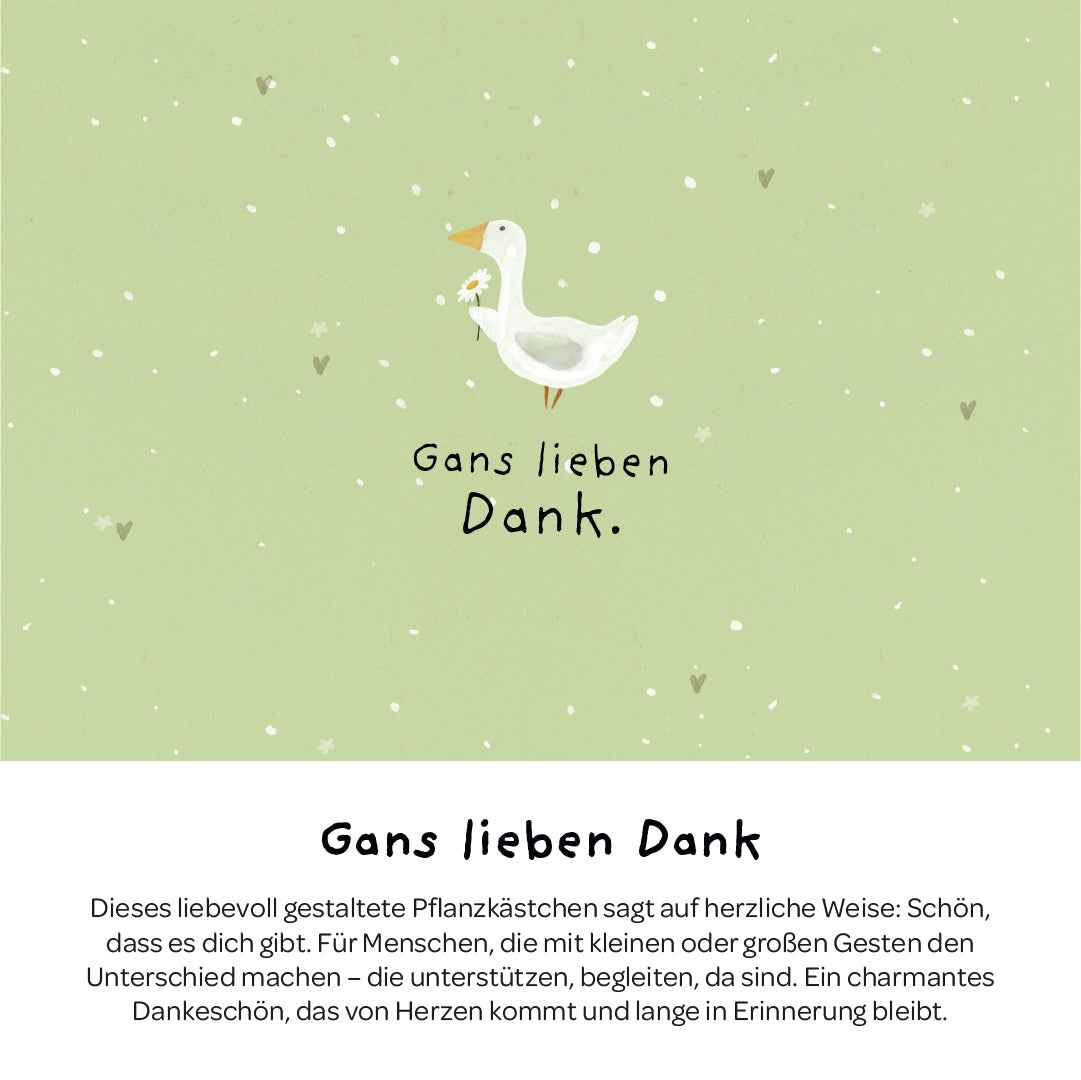 Pflanzkästchen - Gans lieben Dank