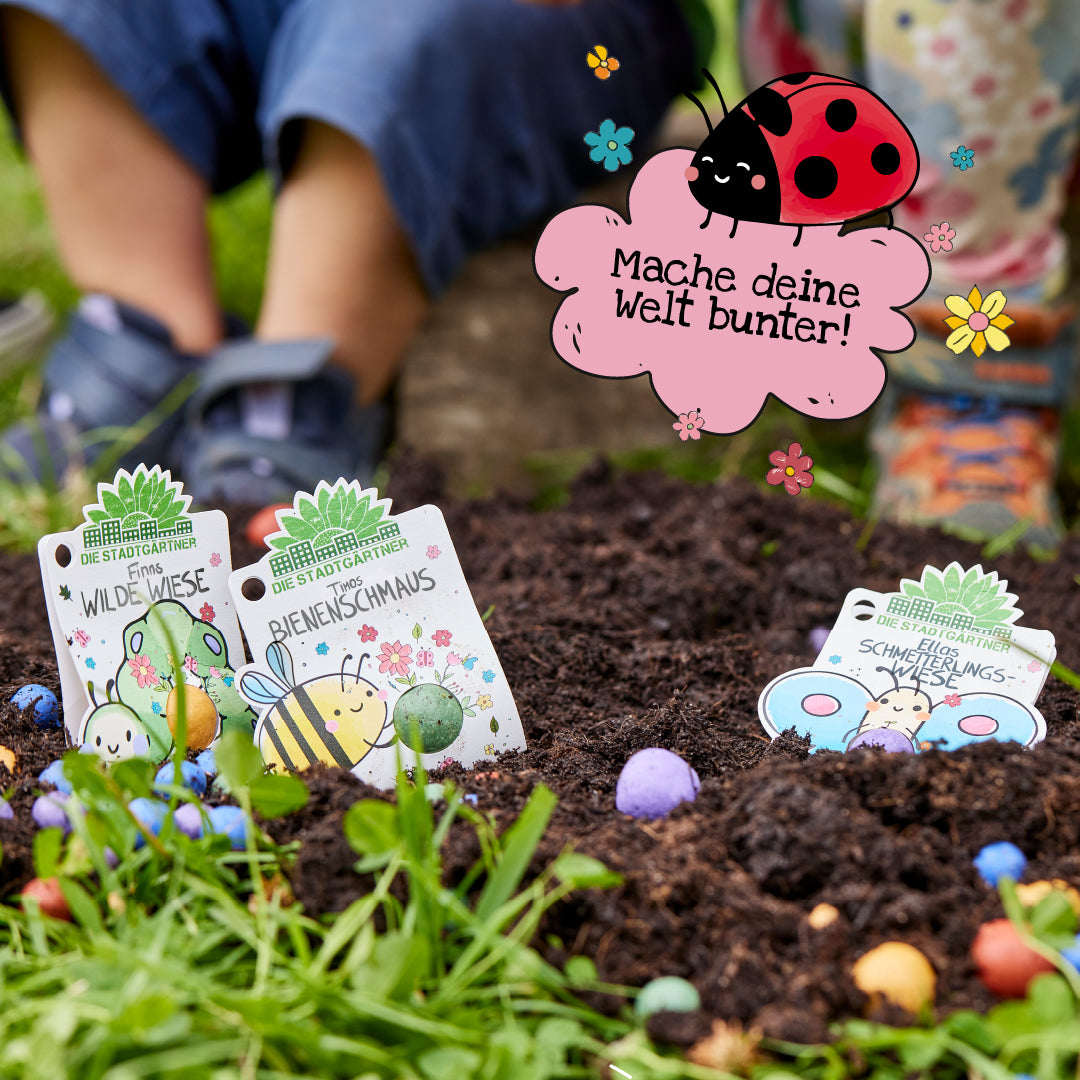 Finns Blumenmurmel Wilde Wiese, Ansicht der bunten Oberflächenstruktur