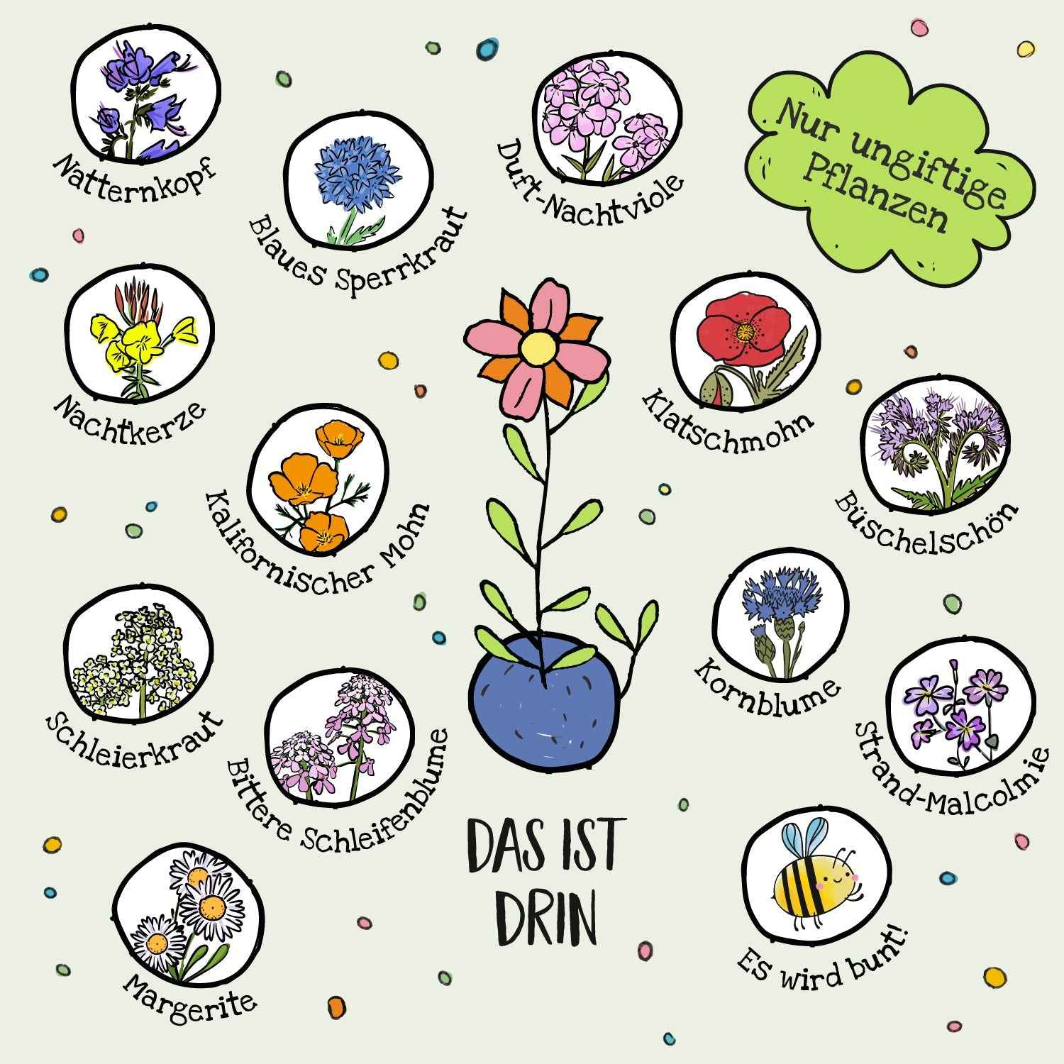 10x5 Blumenmurmeln im Tütchen "Frohes Fest"