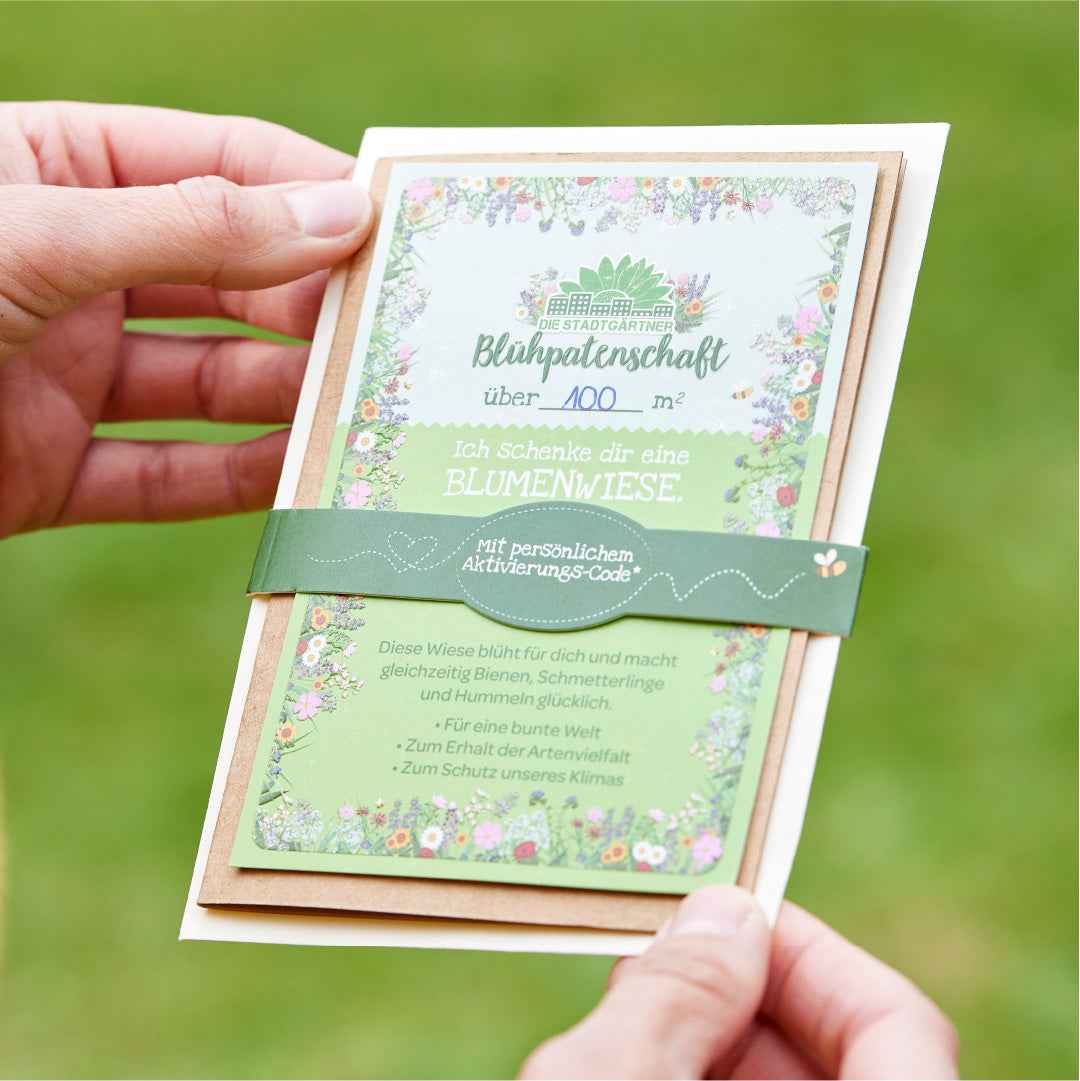 Blühpatenschaft für 100 m² Blumenwiese