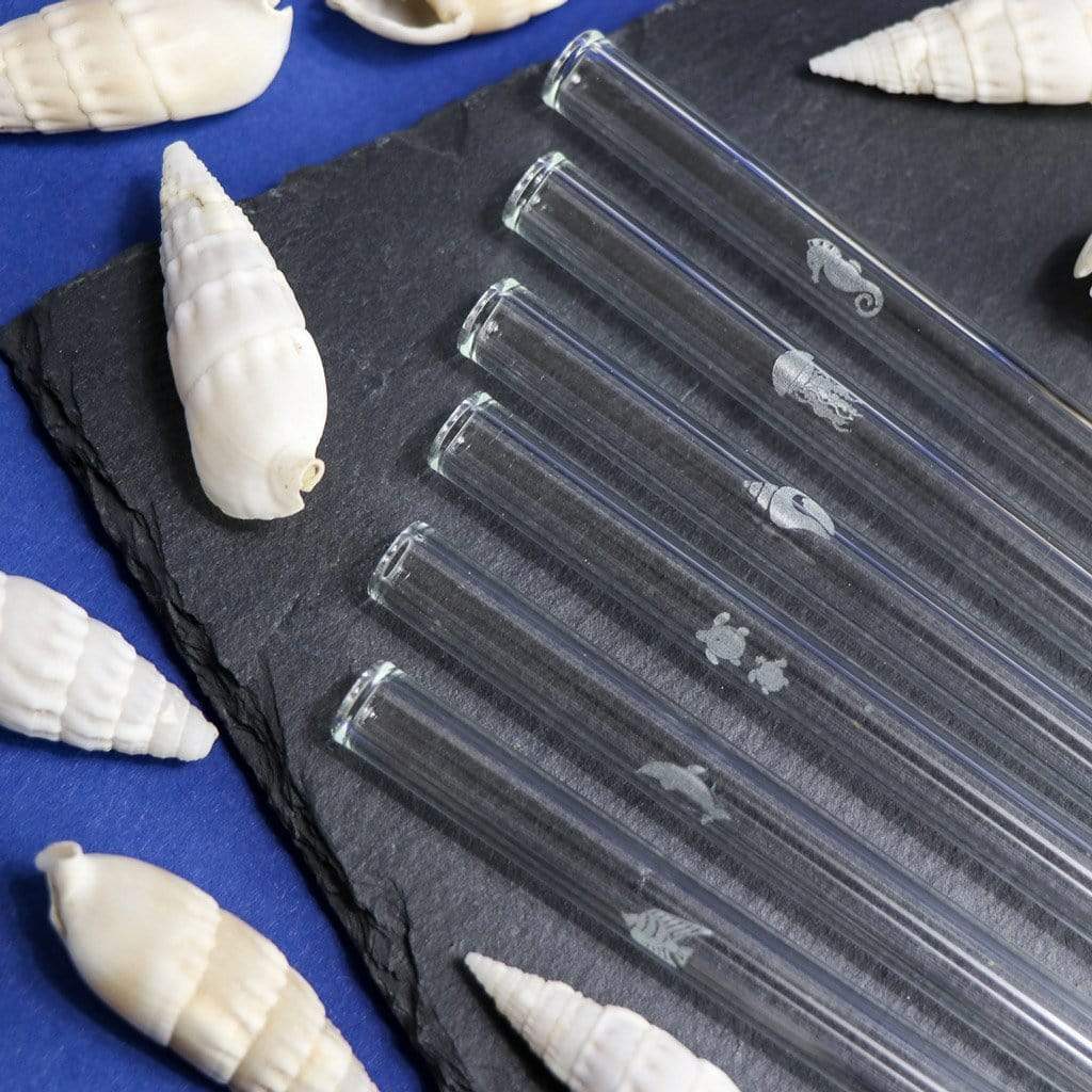Glasstrohhalme mit Meeresmotiven 6er Set 15-23 cm spülmaschinenfest