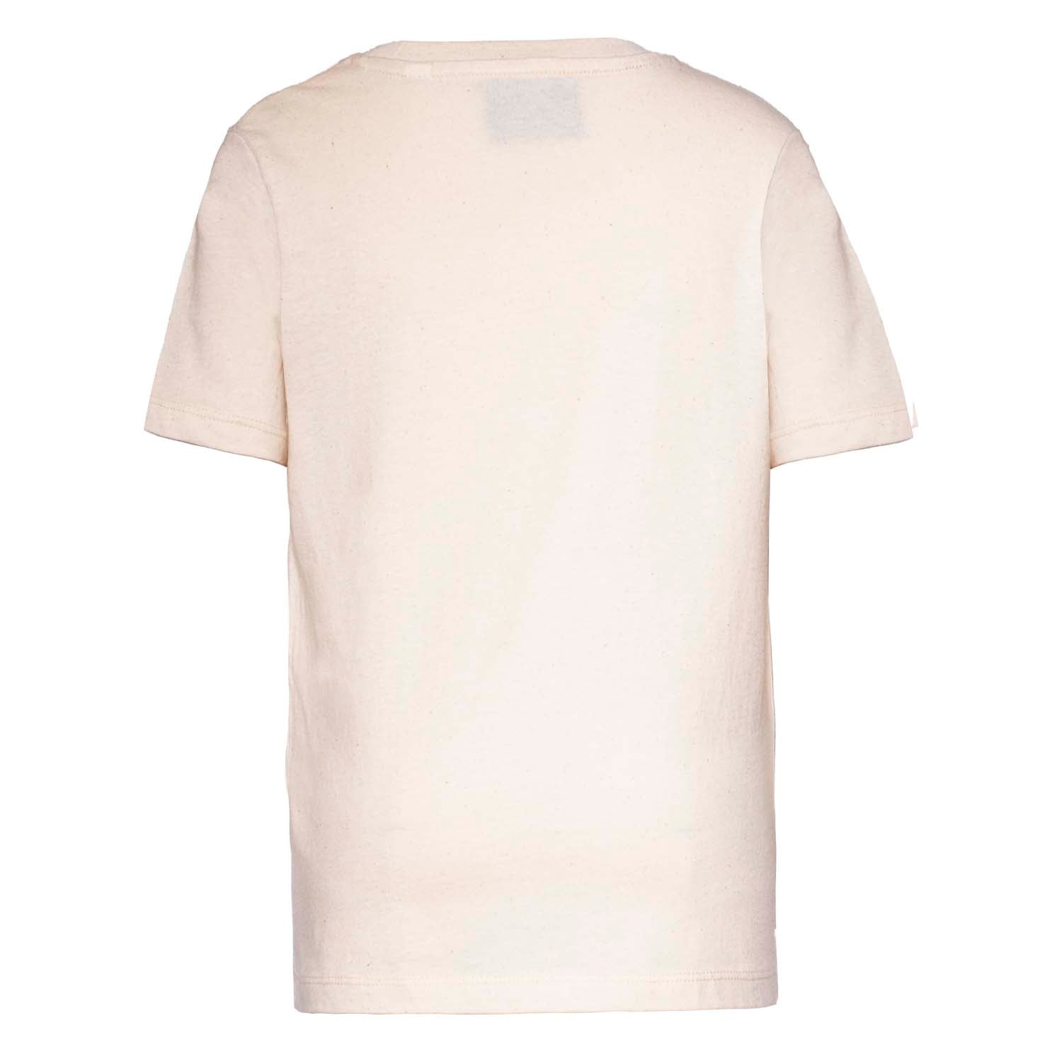 Volcano, Dino and Chick T Shirt-4