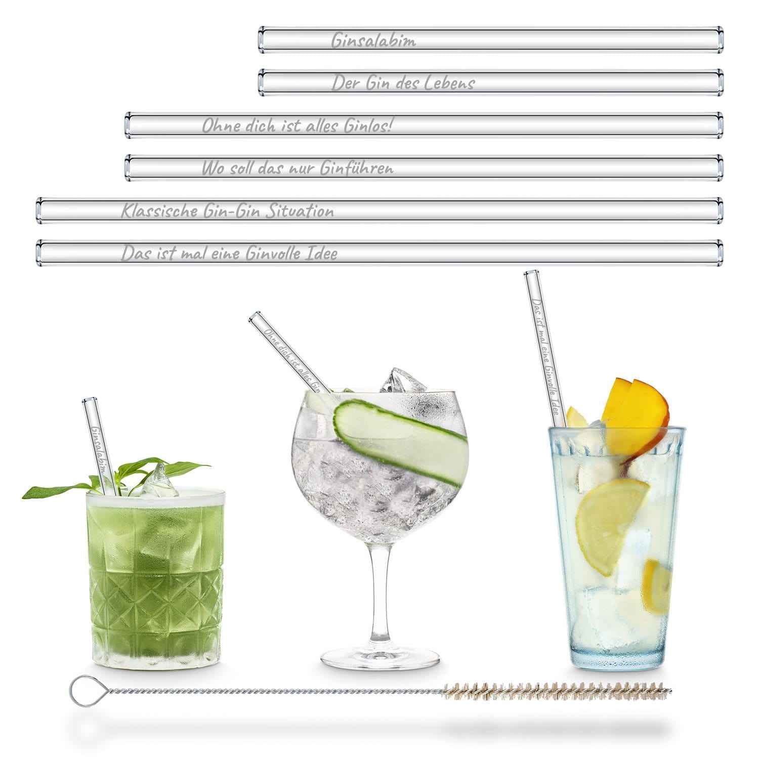 Der Gin des Lebens Edition gravierte mit 6 lustigen Gin Tonic Sprüchen