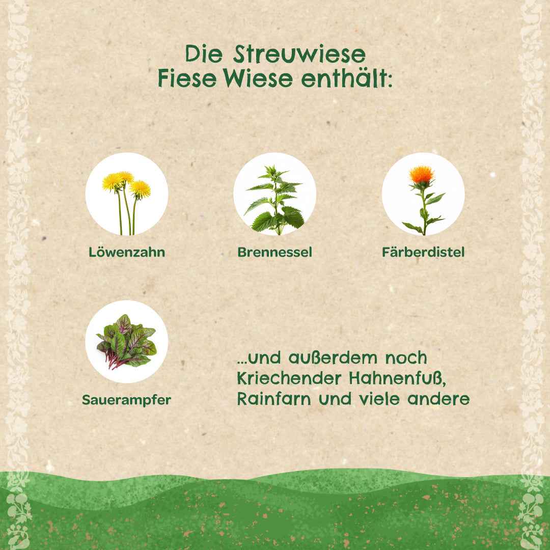 Streuwiese "Fiese Wiese"