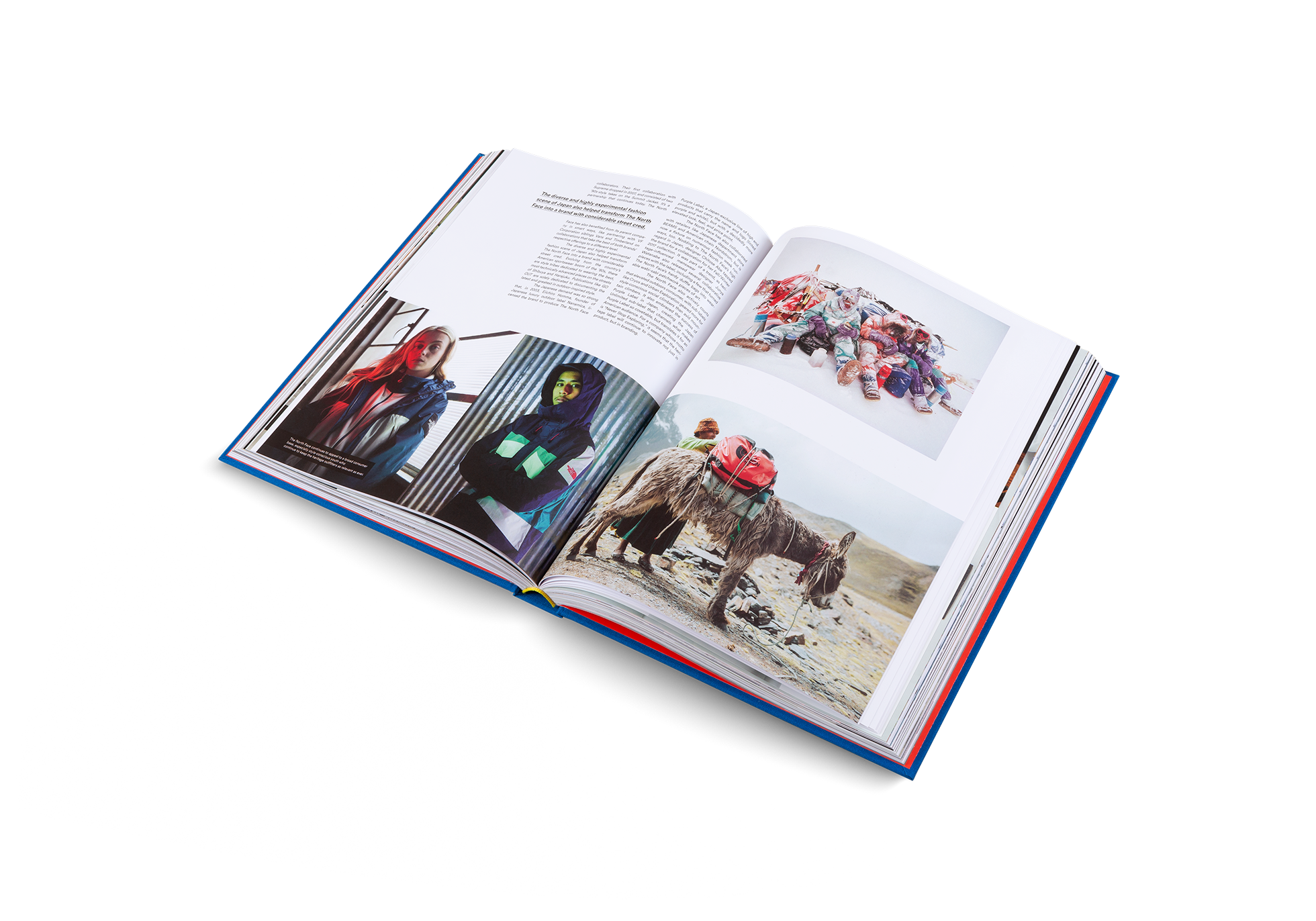 The Incomplete Updated Edition, detailreiche Buchillustration