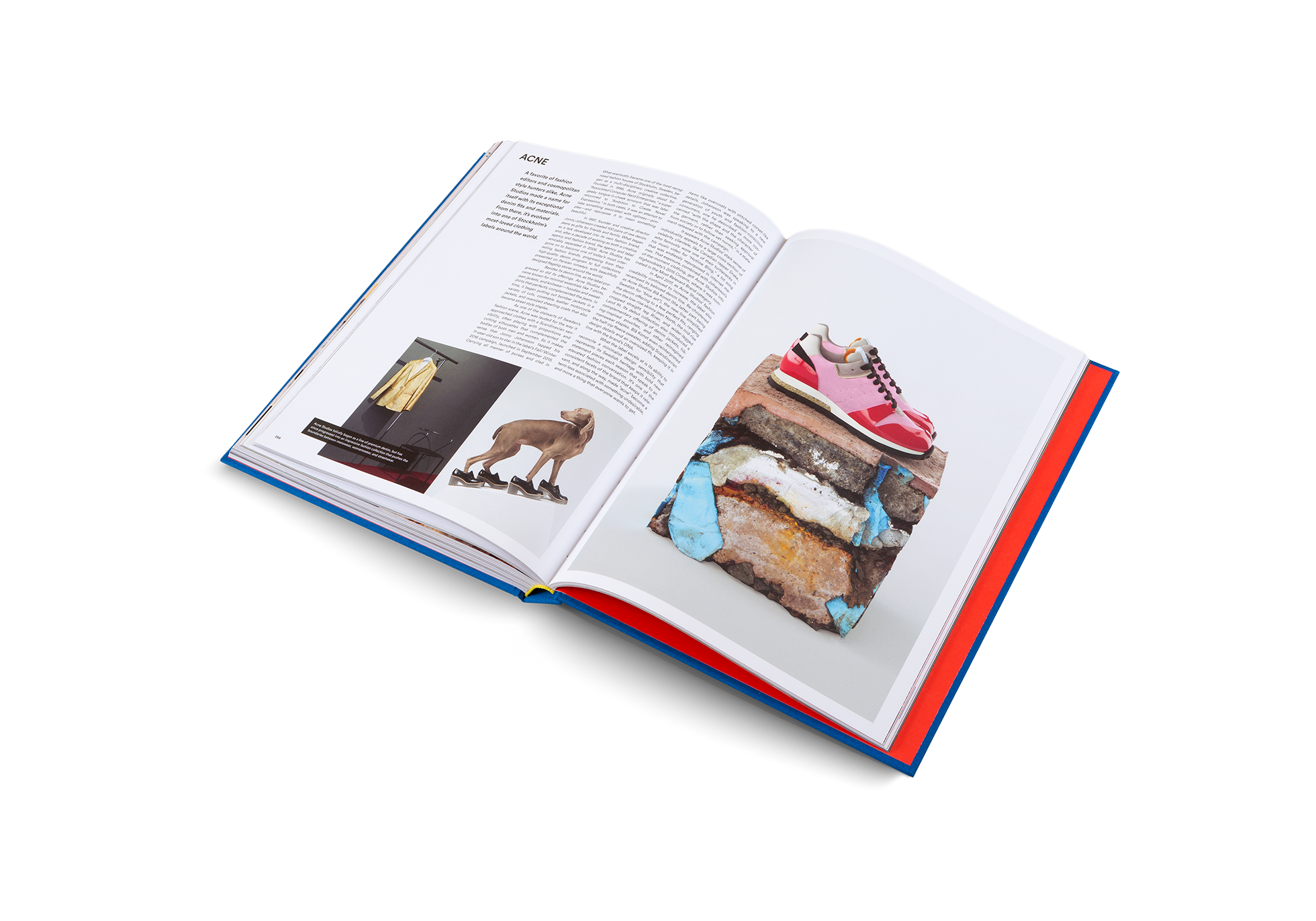 The Incomplete Updated Edition, Buch in einer Hand