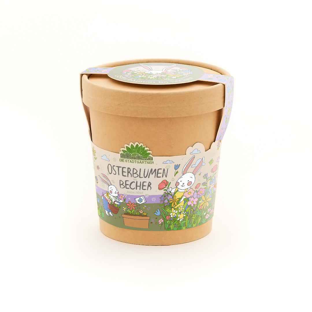 Blümchen aus dem Becher