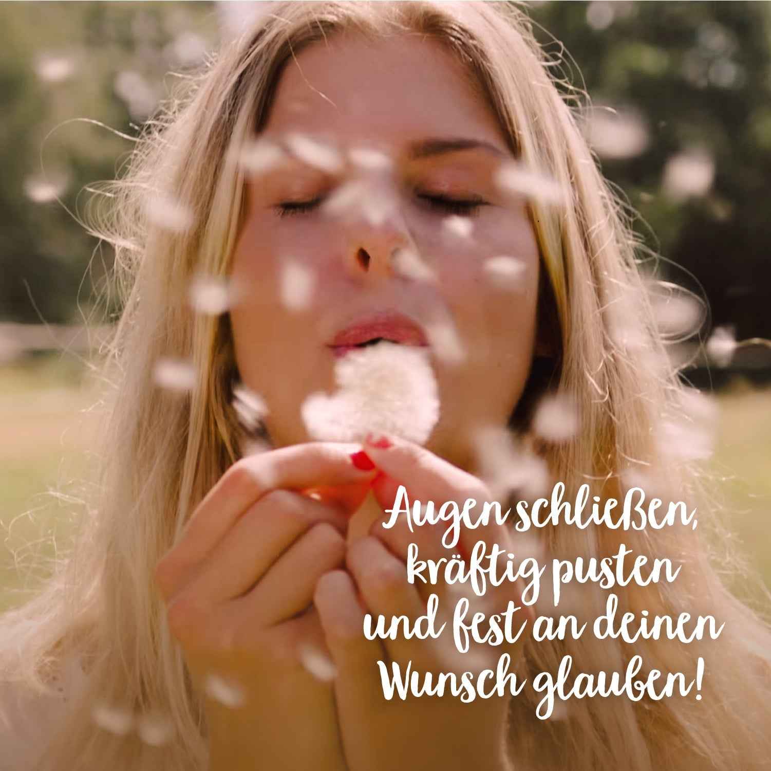 Wunscherfüller, mittel