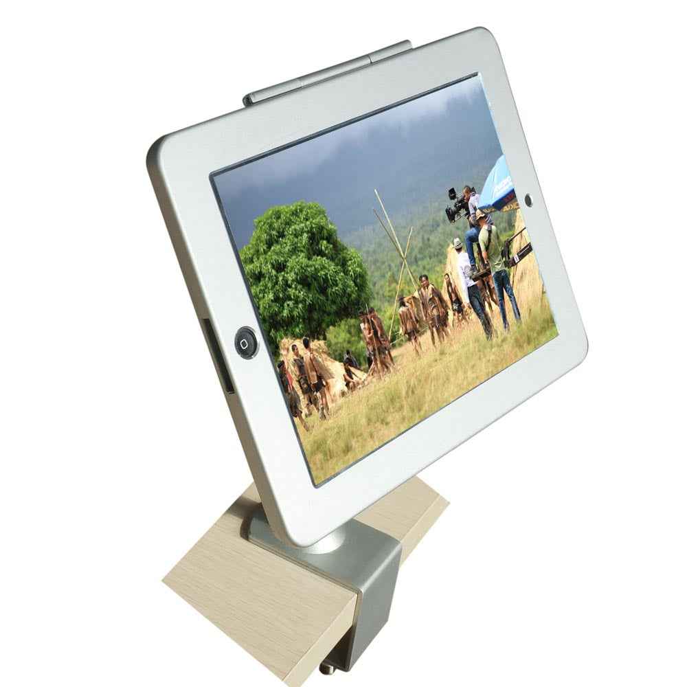 SYSTEM-S Stangen Halterung mit Schloss Befestigung aus Metall in Grau für iPad Pro 10,5"