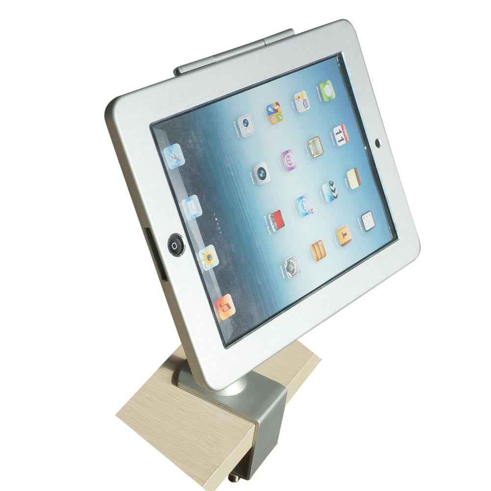 SYSTEM-S Stangen Halterung mit Schloss Befestigung aus Metall in Grau für iPad Pro 10,5"