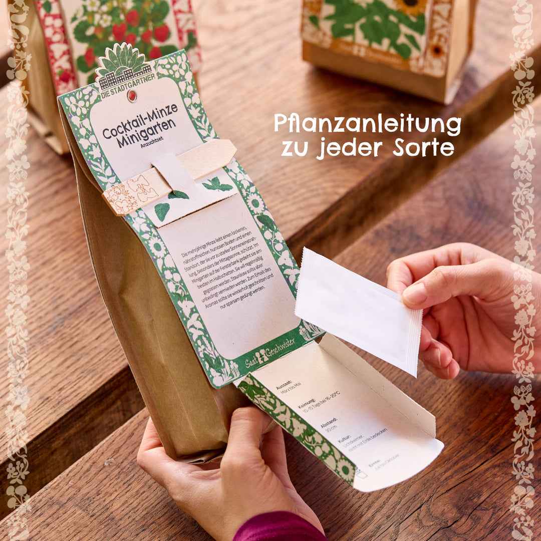Anzuchtset – Minigarten Cocktail Minze