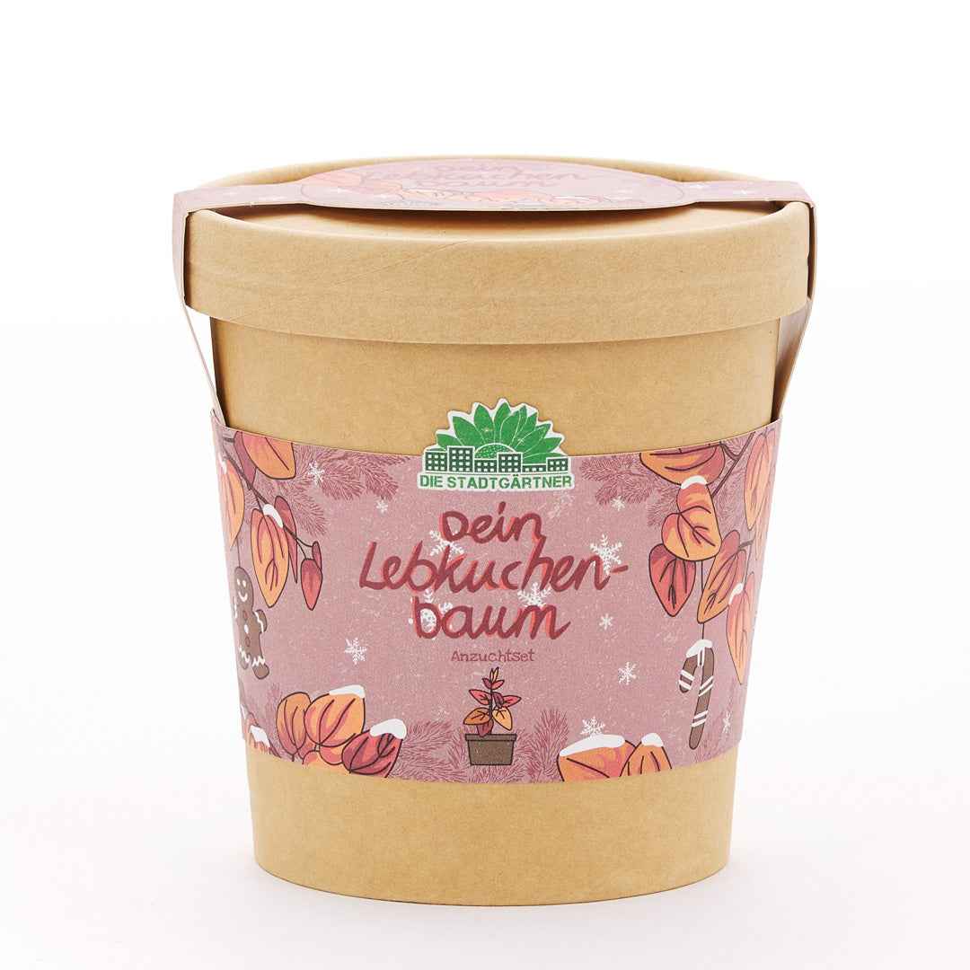 Lebkuchenbaum aus dem Becher