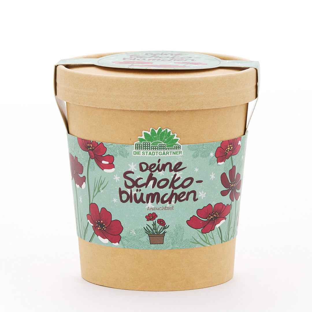 Schokoblumen aus dem Becher