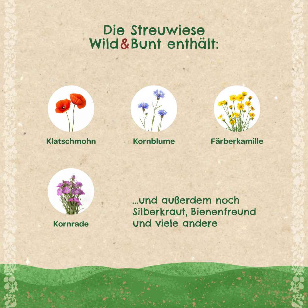 Streuwiese "Wild & Bunt"