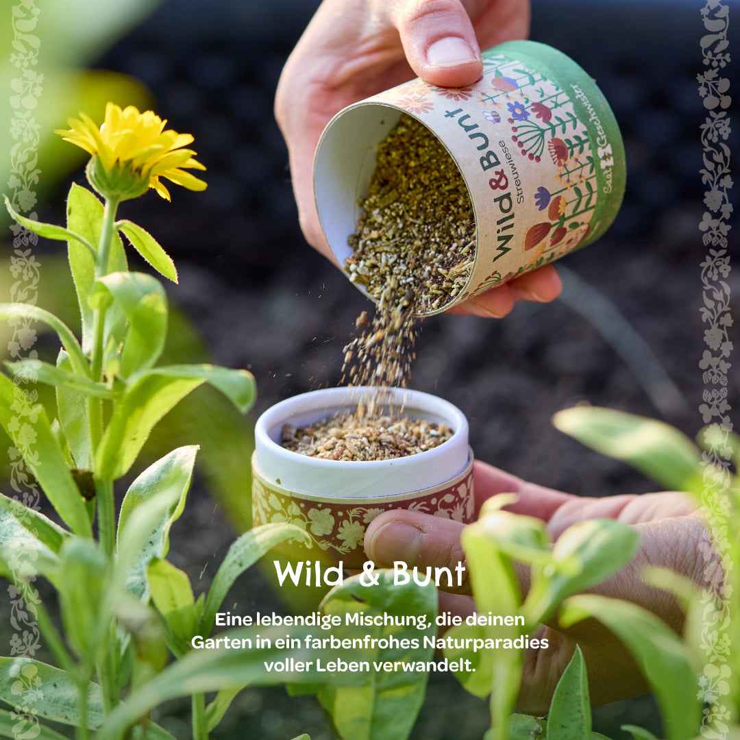 Streuwiese "Wild & Bunt"