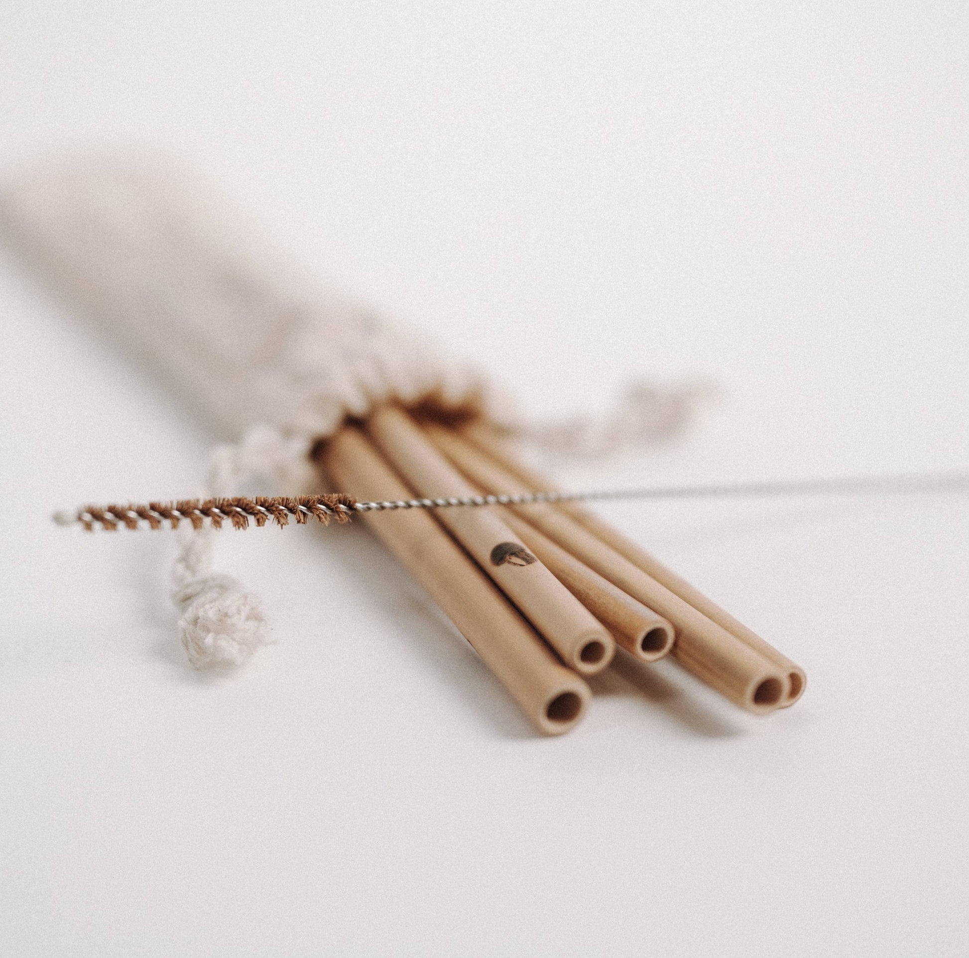 JustStraws Bambus Strohhalme 5er Pack, umweltfreundlich und wiederverwendbar