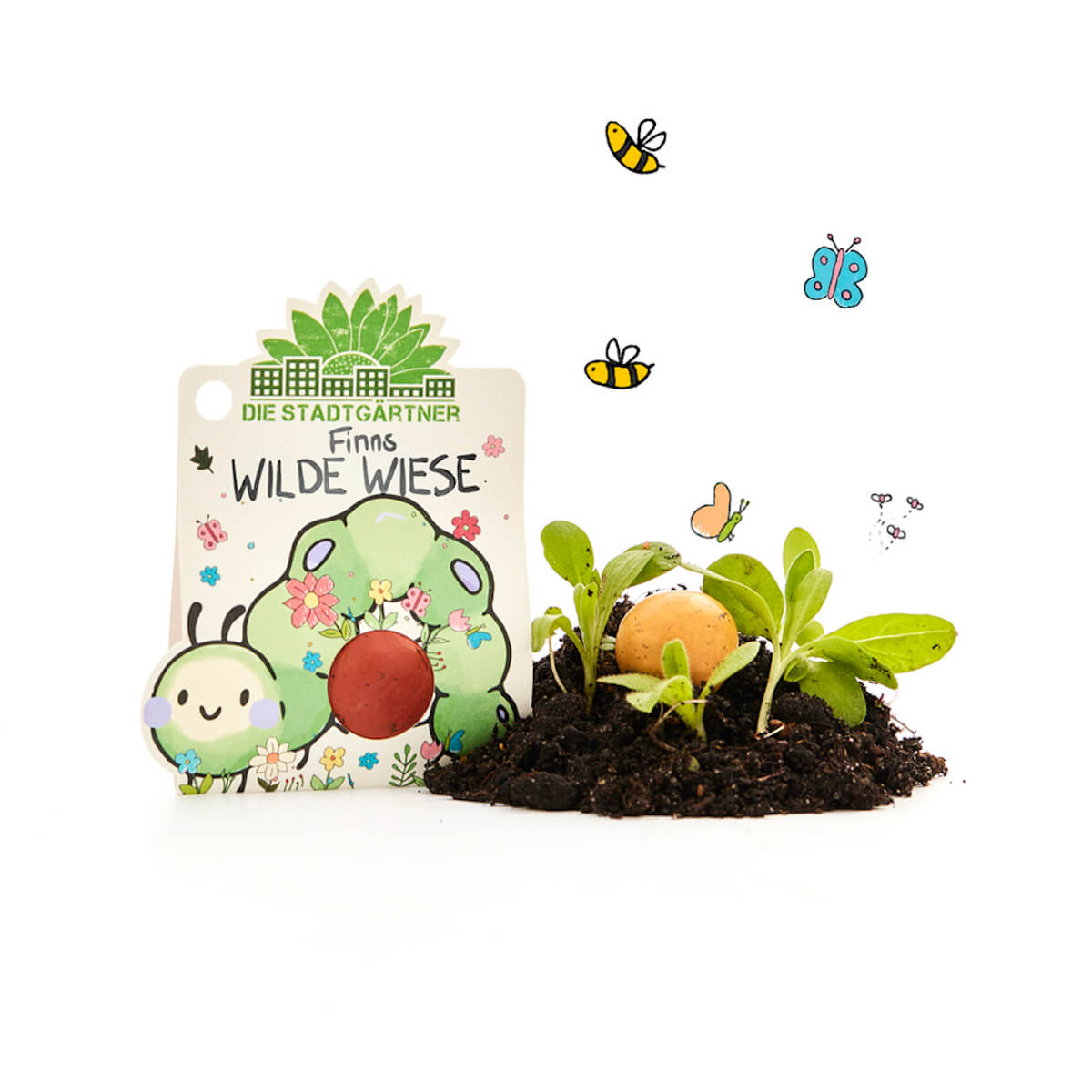 Finns Blumenmurmel Wilde Wiese, Detailaufnahme der farbenfrohen Blumen