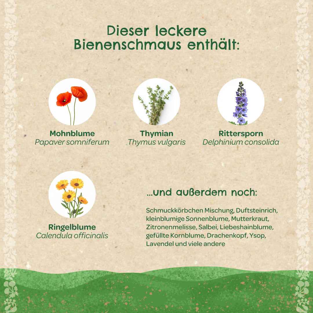 Saatkugeln "Bienenschmaus"